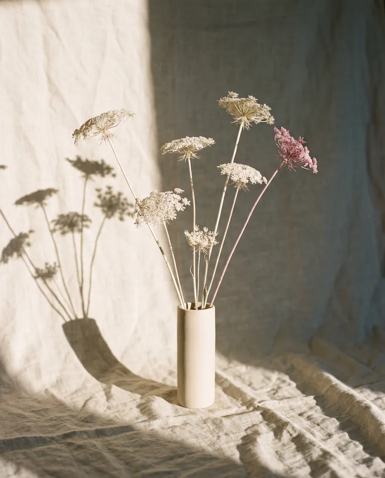 Umbel Study No. 4 — seven stems of dried Ammi majus in a slim pale clay cylinder on linen.